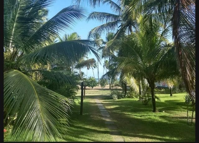 Tree-lined lane inside the gated community