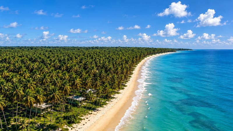 Aerial view of the beach and coconut grove on Ilha do Contrato, Bahia