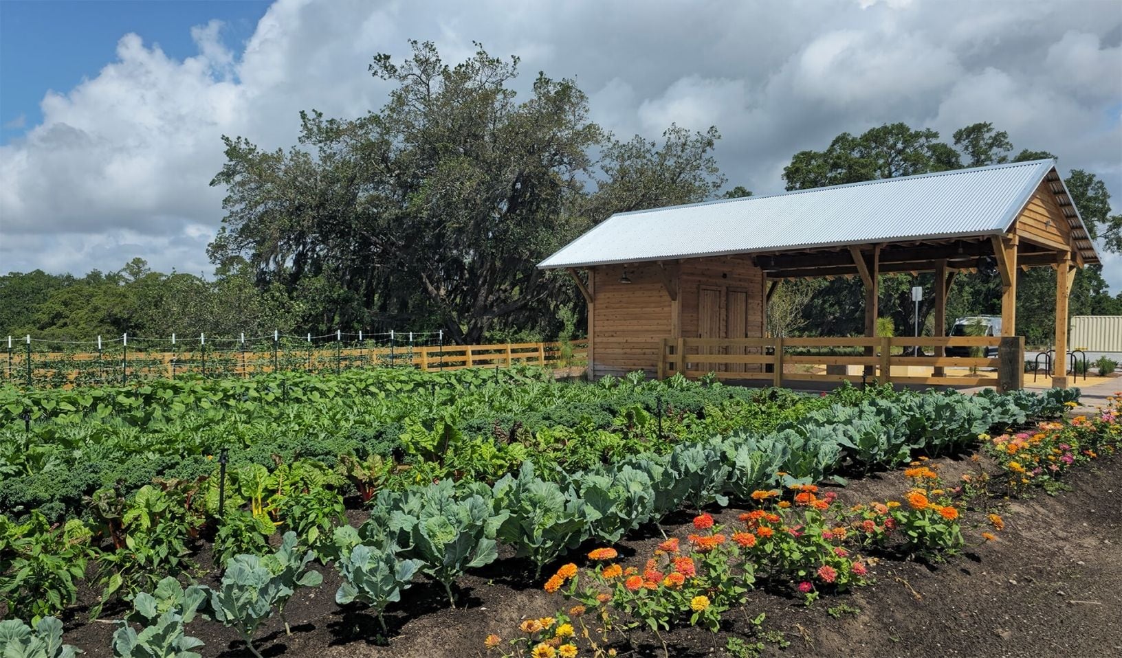 A fazenda ativa e a banca de produtos do The Grow