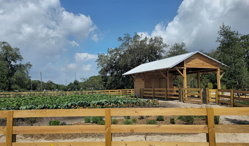 Hortas ao lado do abrigo da fazenda