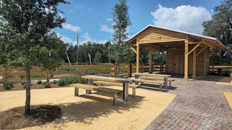 Pavilhão comunitário e área de piquenique junto às hortas