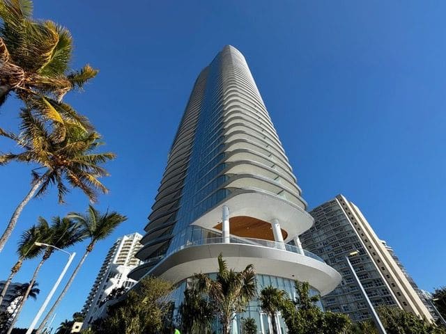 The tower among the palms