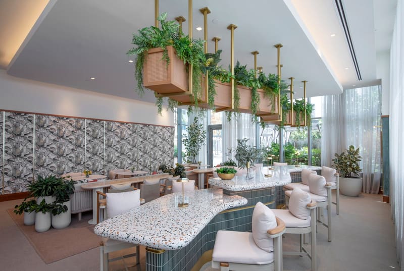 Café counter with hanging planters