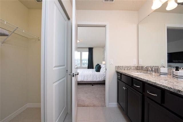 Primary vanity and closet
